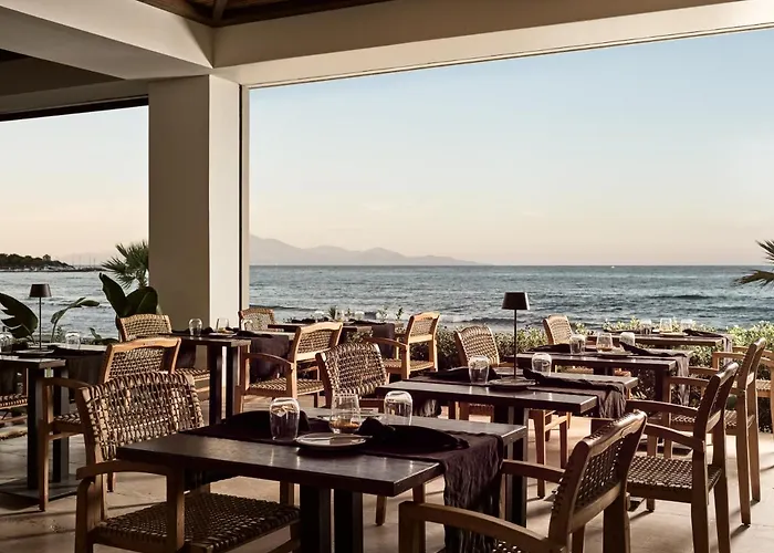 Zante Maris & Adults Only تسيليفي